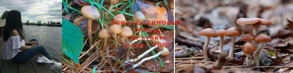 марки nbome Лабытнанги