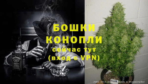 прущие крисы Ладушкин