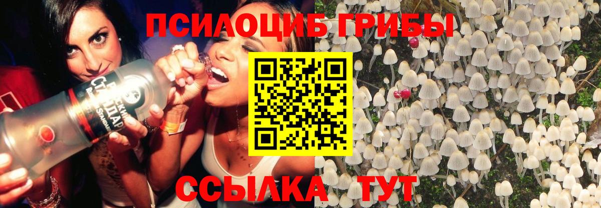 Норильск  Гашиш  Cocaine  Вход с VPN  Марихуана  МЕФ кристаллы 