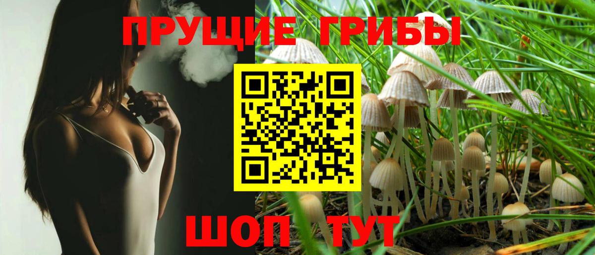 Норильск  Галлюциногенные грибы Magic Shrooms  Псилоцибиновые грибы Psilocybine cubensis  Вход с VPN 